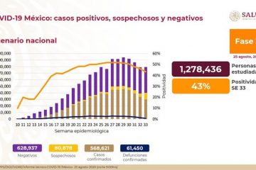 Coronavirus en México: aumentó a 61,450 muertos y a 568,621 contagios