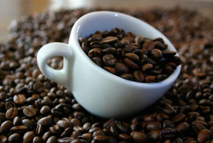 Incrementa consumo y exportación de café orgánico: productores