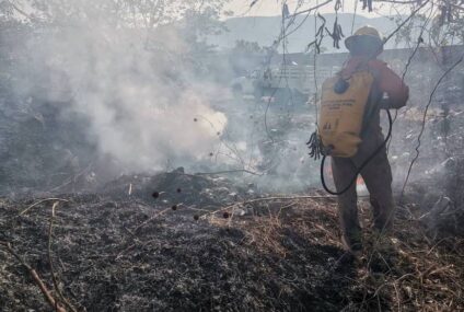 Chiapas, el tercer estado a nivel nacional con mayores afectaciones por incendios