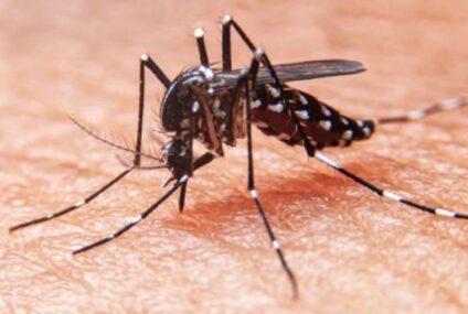 Chiapas está en temporada de dengue, alerta el IMSS
