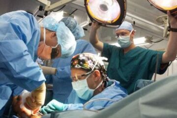 Realizan con éxito el primer trasplante experimental de un riñón de cerdo a un ser humano