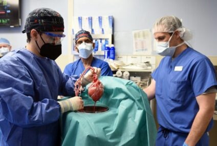 Médicos estadounidenses implantan por primera vez un corazón de cerdo a un humano