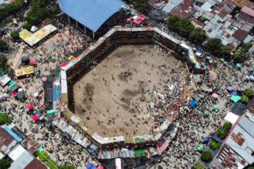 Toro de plaza desplomada en Colombia murió acuchillado y golpeado, revela senadora