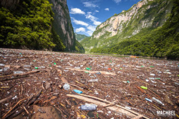 Ágatha deja sucio el Cañón del Sumidero: más de 400 toneladas de basura llegan al río Grijalva