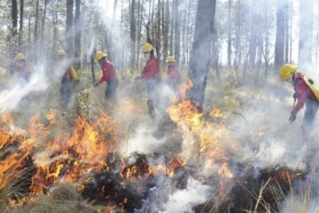Quinto Lugar Nacional En Incendios Forestales