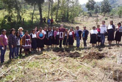 «Mujeres y Maíz»: proyecto liderado por 500 mujeres campesinas de Chiapas