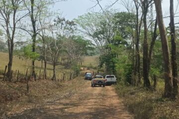 Encapuchados invaden tierras en la zona poniente de San Cristóbal