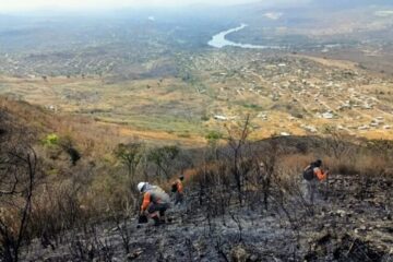 Chiapas sale de lista de estados con más incendios