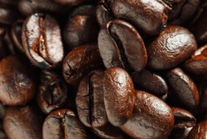 Chiapas sigue siendo el rey en producción de café