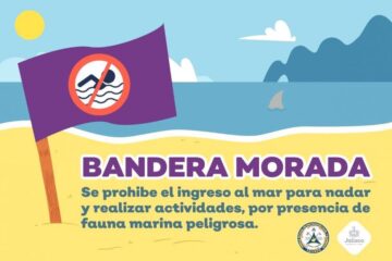 ¡Bandera Morada! Autoridades cierran playas en Jalisco tras ataque de tiburón en Cihuatlán