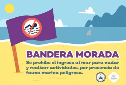 ¡Bandera Morada! Autoridades cierran playas en Jalisco tras ataque de tiburón en Cihuatlán