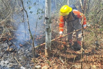 7 incendios activos en Chiapas consumen 5 mil hectáreas forestales