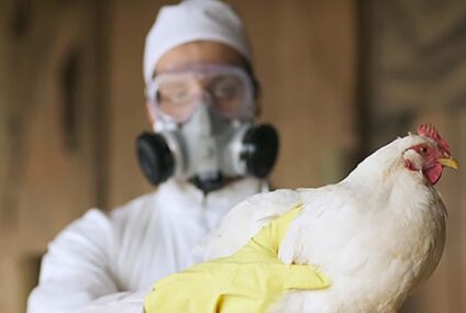 Primer caso mortal de gripe aviar H5N2 en México: Salud descarta riesgo para la población