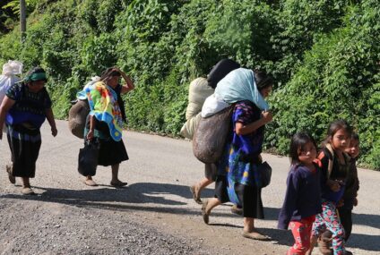 Violencia en Chiapas obliga a familias a buscar refugio en Guatemala