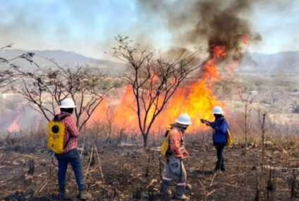 Chiapas segunda entidad con mayor superficie afectada por incendios