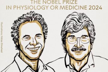 Qué son los microARN por los que Victor Ambros y Gary Ruvkun ganaron el Premio Nobel de Medicina