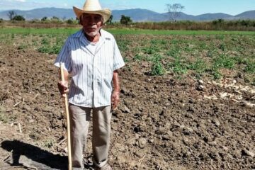 Más de una quinta parte de campesinos vive en extrema pobreza en Chiapas