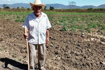 Más de una quinta parte de campesinos vive en extrema pobreza en Chiapas