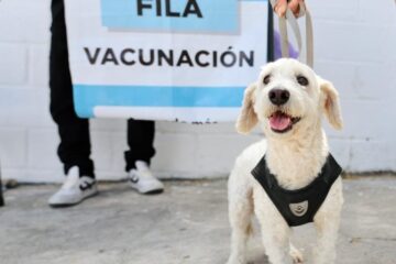 Continúa plan de vacunación y esterilización en Tuxtla Gutiérrez