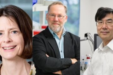 Premio Nobel de Medicina 2025 por hallazgos sobre el células T reguladoras y el sistema inmunitario