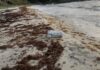 Así es como los narcotraficantes tratan de evadir a los buques de EE. UU. en el Caribe