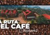 Ruta del Café en Chiapas: viaja a las nubes para probar el mejor café de México