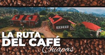 Ruta del Café en Chiapas: viaja a las nubes para probar el mejor café de México Ruta del Café en Chiapas: viaja a las nubes para probar el mejor café de México