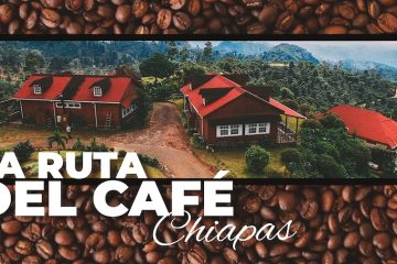 Ruta del Café en Chiapas: viaja a las nubes para probar el mejor café de México