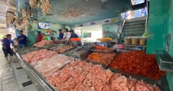 Cruz Roja previene a la ciudadanía ante intoxicaciones por consumir mariscos