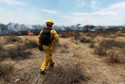 Multa y cárcel para quienes generen incendios en Chiapas